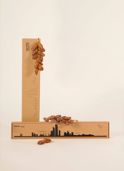 The Line - City Skyline - Abu Dhabi