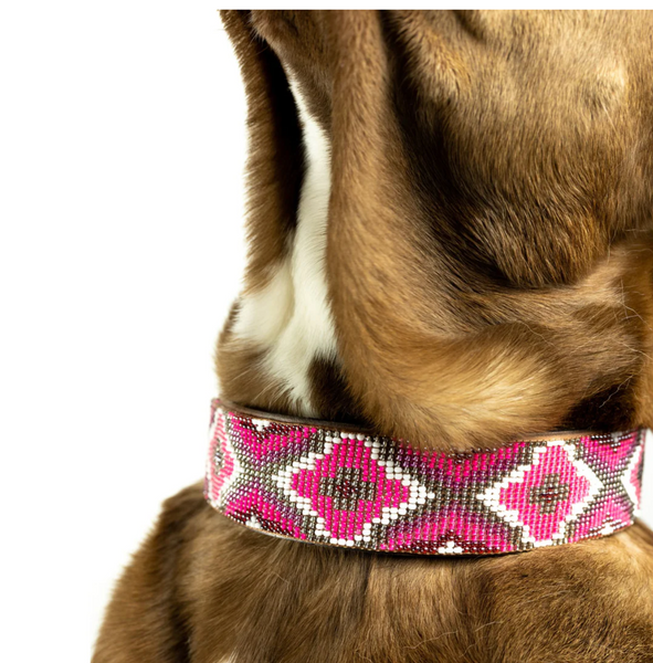 Sambboho Del Mar Dog Collar