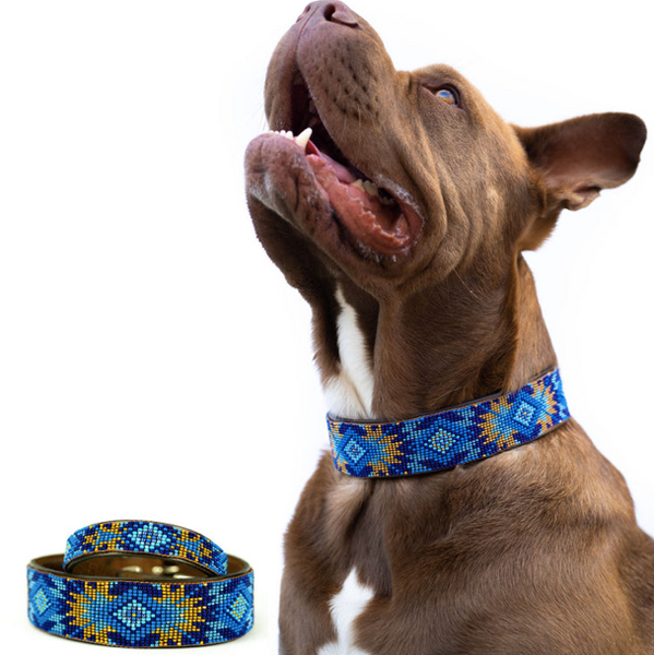 Sambboho Maldives Dog Collar