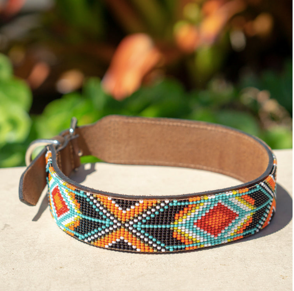 Sambboho Biarritz Dog Collar