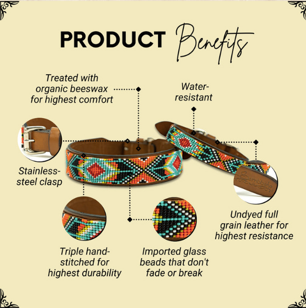 Sambboho Biarritz Dog Collar