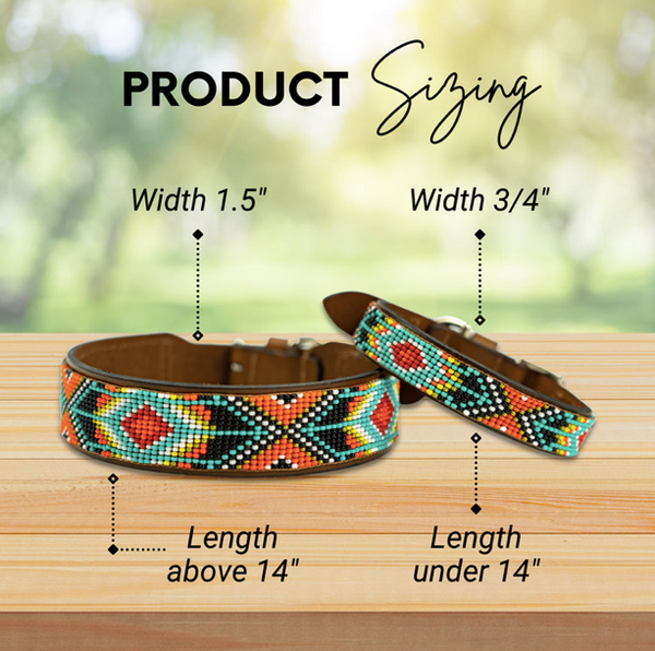 Sambboho Biarritz Dog Collar