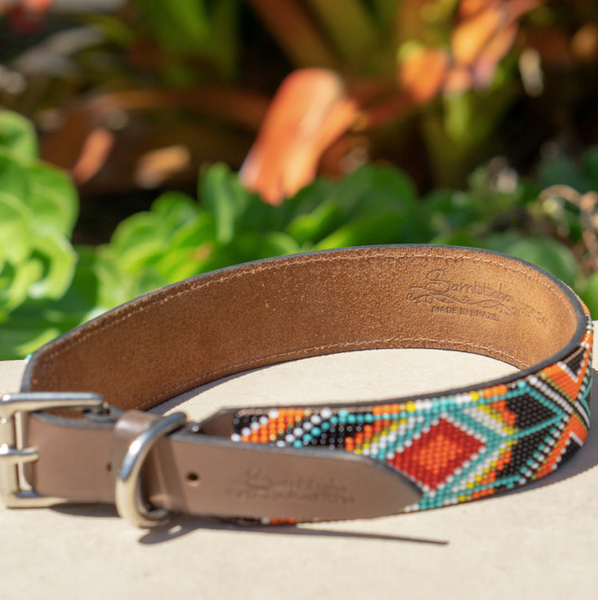 Sambboho Biarritz Dog Collar