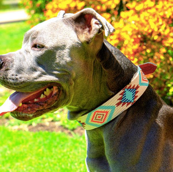 Sambboho Aztec Dog Collar