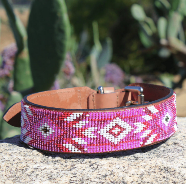 Sambboho Melrose Dog Collar