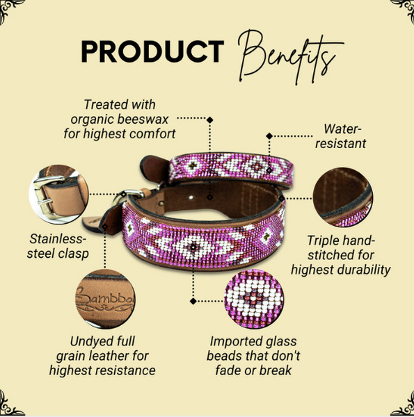 Sambboho Melrose Dog Collar