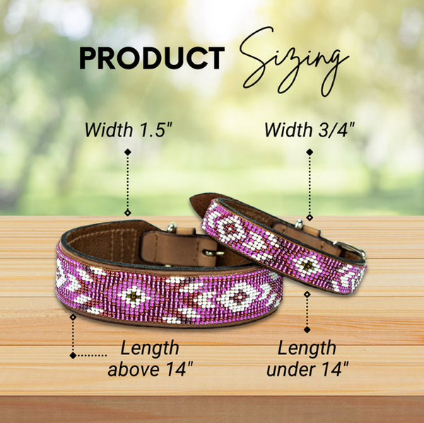 Sambboho Melrose Dog Collar