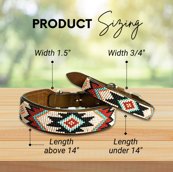 Sambboho Phoenix Dog Collar
