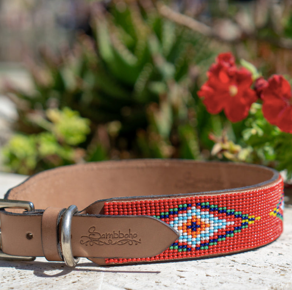 Sambboho Red Vogue Dog Collar