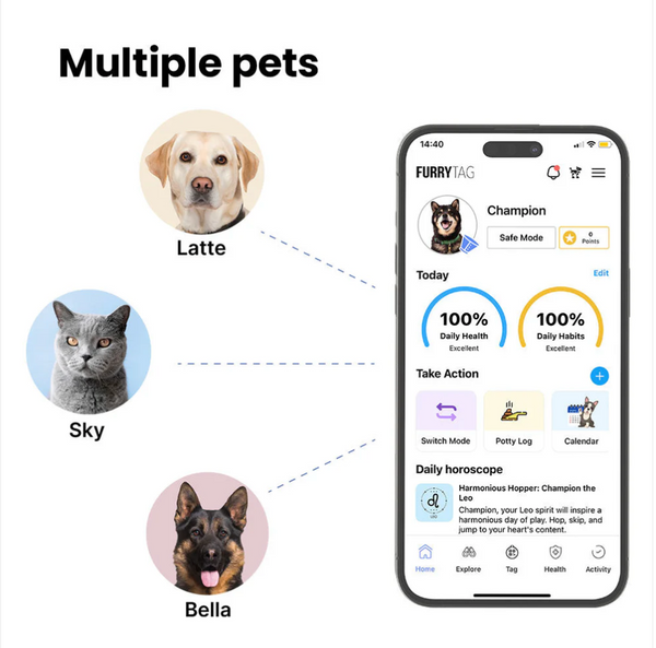 Furry Tag QR Code Pet ID Tag Multiple pets welcome page