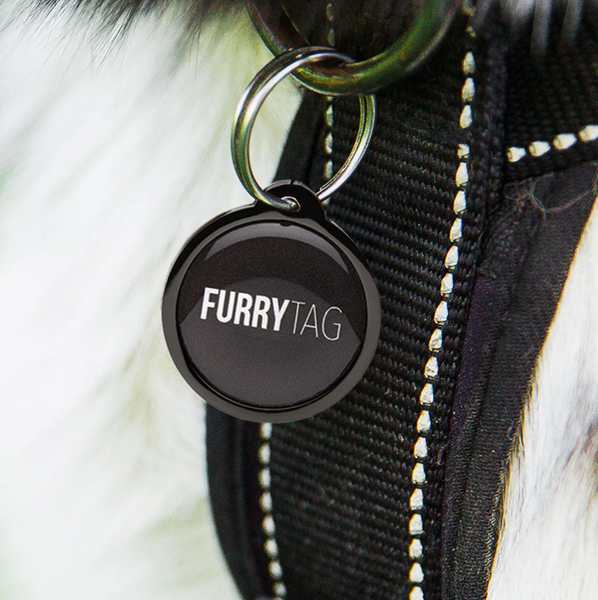 Furry Tag QR Code Pet ID Tag Black Close up pic