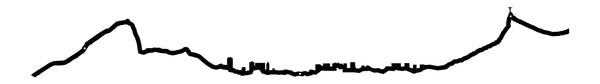 The Line - City Skyline - RIO DE JANEIRO