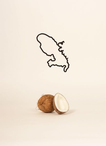 The Line - Island - MARTINIQUE