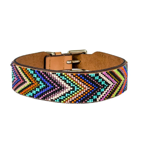 Sambboho Bixie Dog Collar