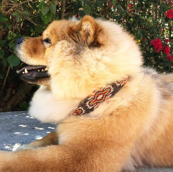 Sambboho Boho Chic Dog Collar