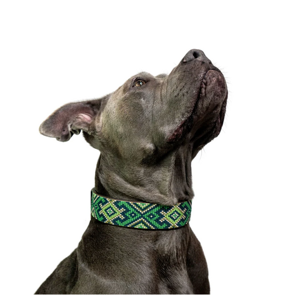 Sambboho Lucky Dog Collar