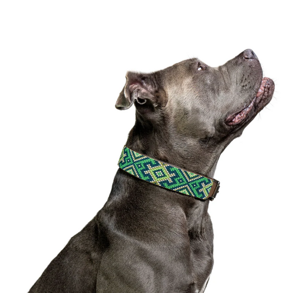 Sambboho Lucky Dog Collar