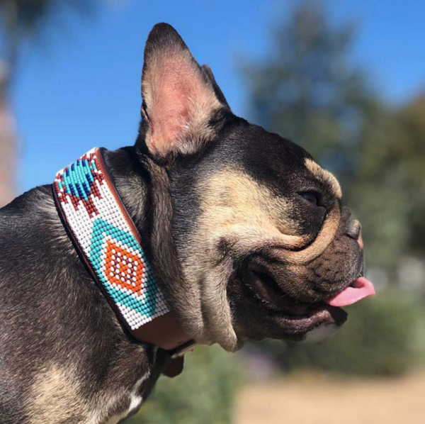 Sambboho Aztec Dog Collar