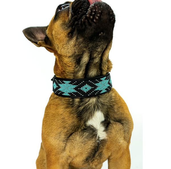 Sambboho Saint Barth Dog Collar