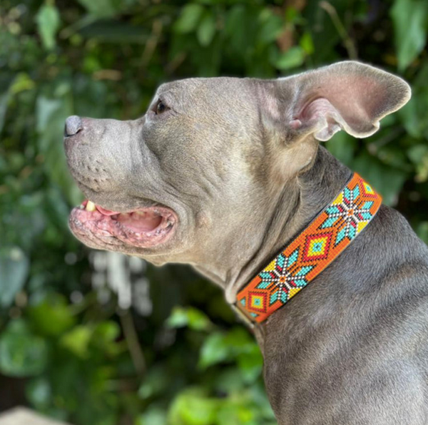Sambboho Maui Dog Collar